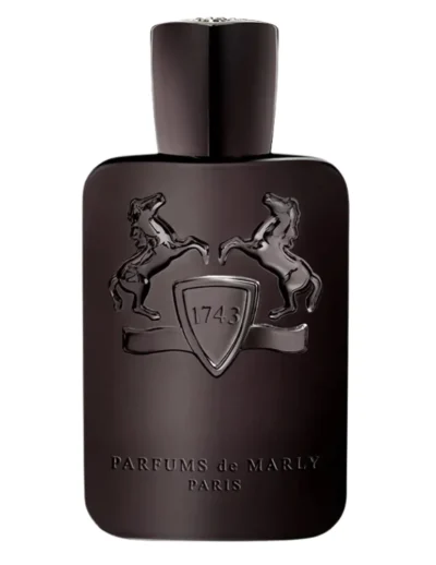 Elegant dark brown perfume bottle with embossed emblem and cap.